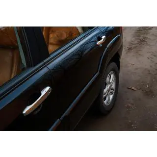 Chrome Door Handle Covers (4 pcs) photo 1