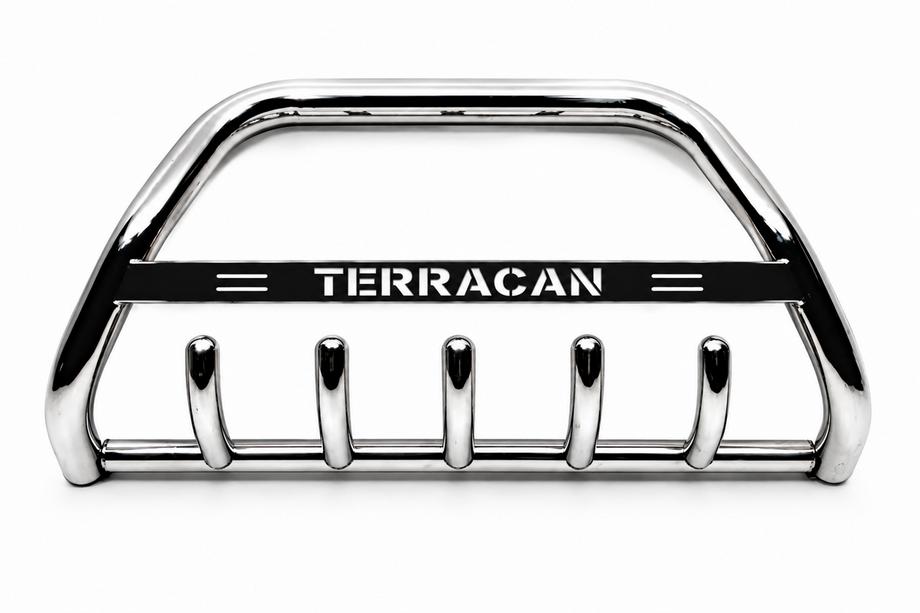 Hyundai Terracan 2001-2007 Bull Bar WT004 Stainless Steel Image