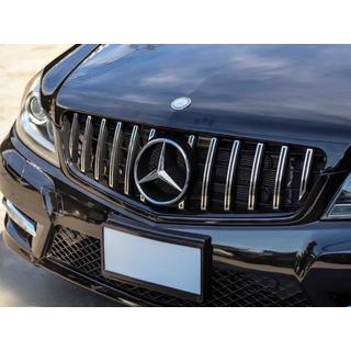 Front Grille GT Panamericana Mercedes C-class W204 2007-2015 photo 3