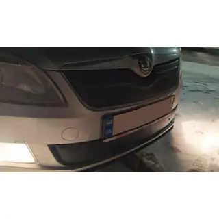 Winter grille cover (2011-2014, upper) Skoda Fabia 2007-2014 photo 3