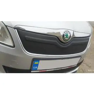 Winter grille cover (2011-2014, upper) Skoda Fabia 2007-2014 photo 1