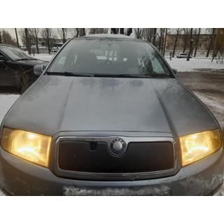 Winter cover for grille photo 1