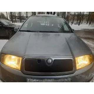 Winter cover for grille photo 1