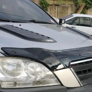 Hood Deflector (EuroCap) photo 4
