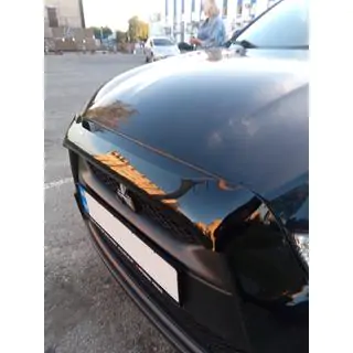 Hood Deflector (HIC) photo 1