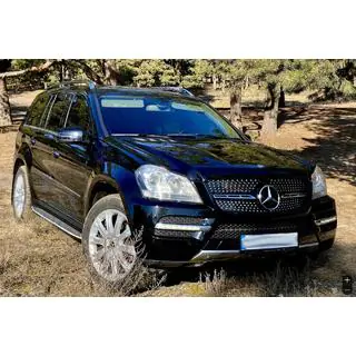 Front grille Diamond (2006-2009) photo 4
