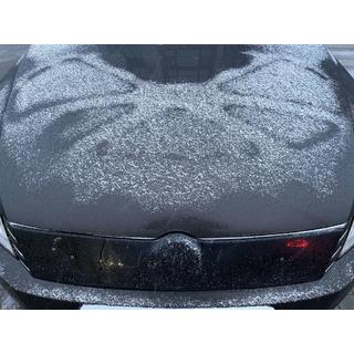 Winter grille (EU/USA) Volkswagen Passat B7 2012-2015 photo 1