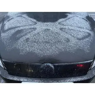 Winter grille (EU/USA)