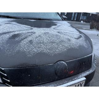 Winter grille (EU/USA) Volkswagen Passat B7 2012-2015 photo 2