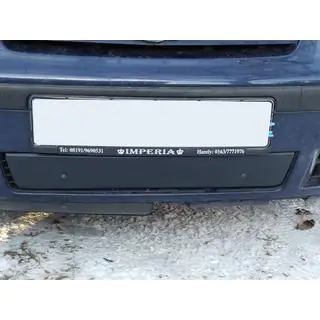 Winter grille (2000-2010) Volkswagen Sharan 1995-2010 photo 4