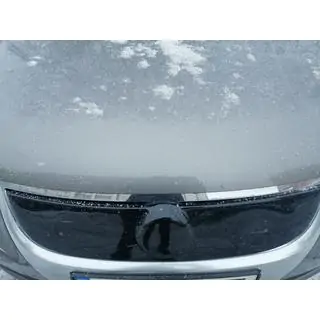 Winter grille (upper, 2006-2010) photo 2