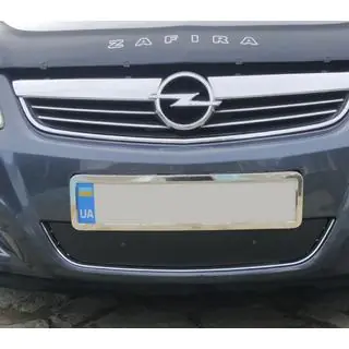 Winter grille cover (2008-2011) photo 1