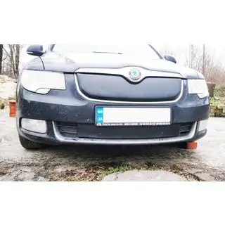Winter grille cover (Upper, 2008-2013) Skoda Superb 2009-2015 photo 3