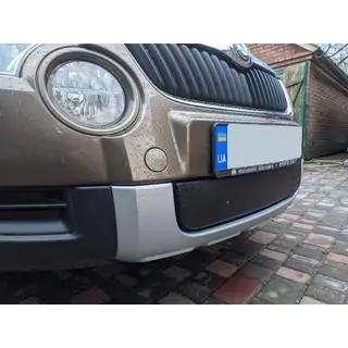 Winter grille cover (lower, 2009-2013) photo 3