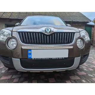 Winter grille cover (lower, 2009-2013)
