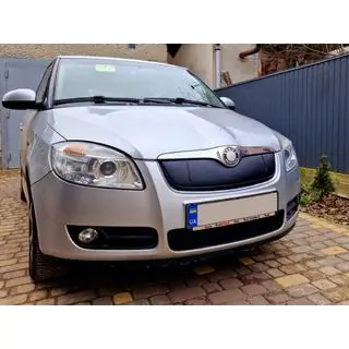 Winter grille cover (2007-2010, upper) Skoda Roomster 2006-2015 photo 2