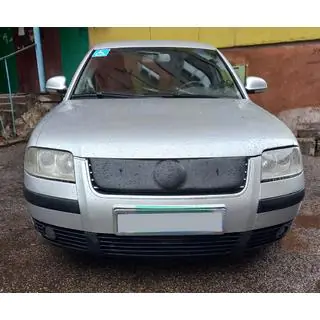Winter grille (2001-2005) Volkswagen Passat B5 1997-2005 photo 2