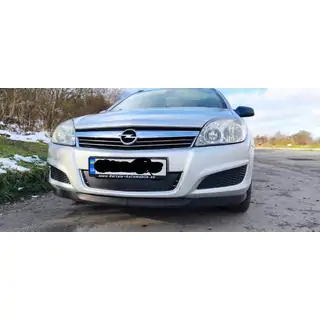 Winter grille (2004-2007) photo 1