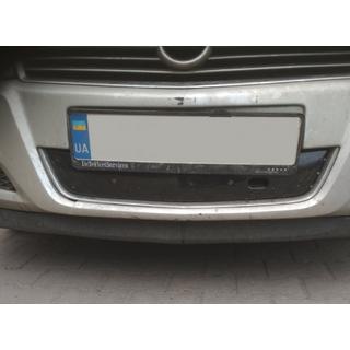 Winter grille (2007+) photo 2