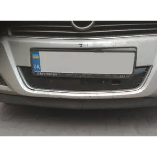Winter grille (2007+) photo 2