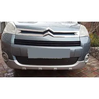 Winter grille (2008-2012)