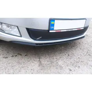 Winter grille cover (2011-2014, lower) photo 2
