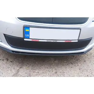Winter grille cover (2011-2014, lower) Skoda Roomster 2006-2015 photo 1
