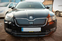 Skoda Superb 2015-2024 Winter grille cover (2015-2019, upper) photo 2
