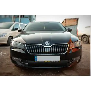 Winter grille cover (2015-2019, lower)
