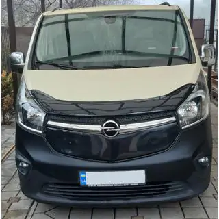 Winter cover for grille
