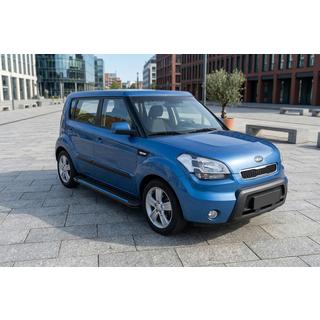 Side Steps Maya Blue (2 pcs, Aluminum) photo 1