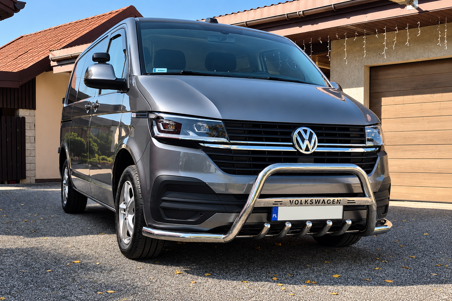 Volkswagen T6 2015-2024 Bull Bar WT004-ST (Stainless Steel) Photo 1