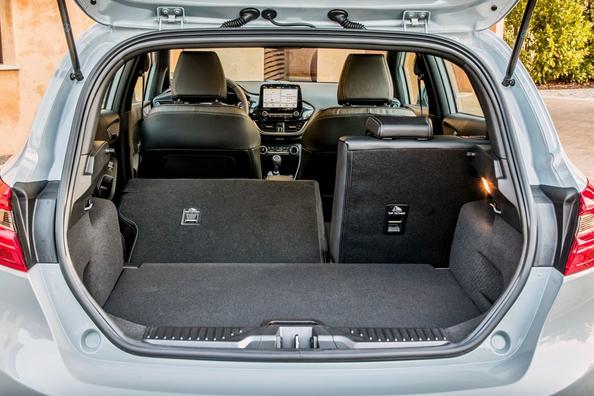 Hatchback terrain Ford Fiesta Active Photo 10