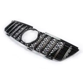 Front Grille (GT Panamericana, 2005-2008) photo 3