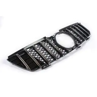 Front Grille (GT Panamericana, 2005-2008) photo 4