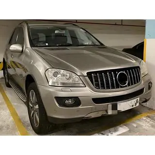 Front Grille (GT Panamericana, 2005-2008) photo 1