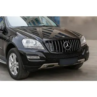 Front Grille (GT Panamericana, 2009-2012) photo 1
