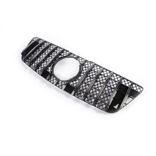 Front Grille (GT Panamericana, 2009-2012) photo 3