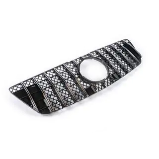 Front Grille (GT Panamericana, 2009-2012) photo 4
