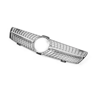 Front Grille (2005-2008, Diamond Silver) photo 4