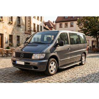 Side Steps Bosphorus Grey (2 pcs, Aluminum) Mercedes Vito W638 1996-2003 photo 1