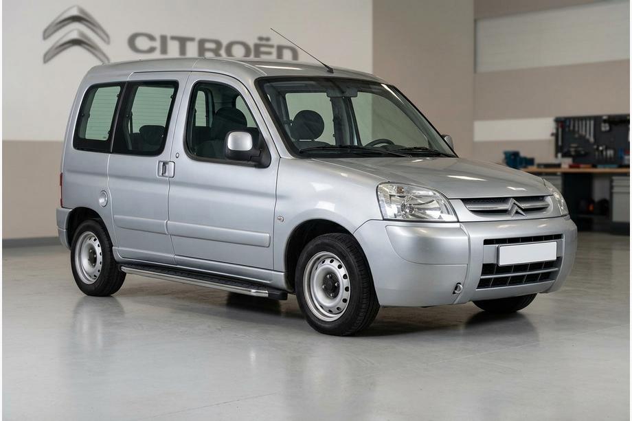 Citroen Berlingo 1996-2008 Side Steps BlackLine (2 pcs, Aluminum) Photo 1