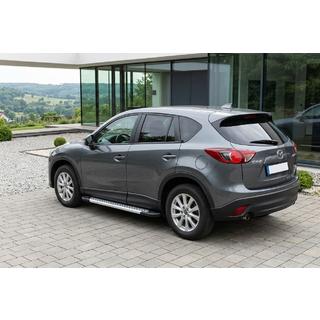 Side Steps New Vision Grey (2 pcs, Aluminum) photo 1