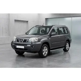 Side Steps Tayga Grey (2 pcs, Aluminum) photo 1