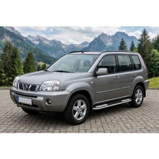 Side Steps Tayga V2 (2 pcs, Aluminum) photo 1