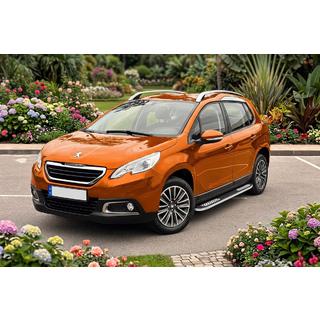 Side Steps Tayga V2 (2 pcs, Aluminum) photo 1