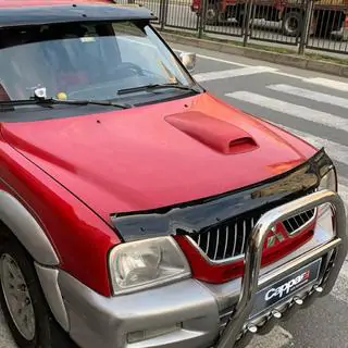 Hood Deflector (EuroCap) photo 2