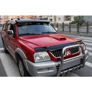 Hood Deflector (EuroCap) photo 1
