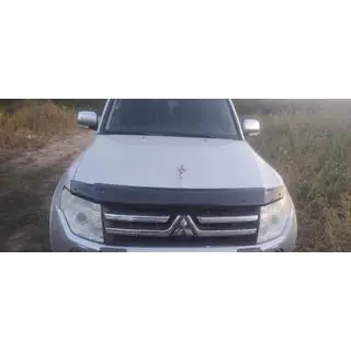 Hood Deflector (EuroCap) photo 3