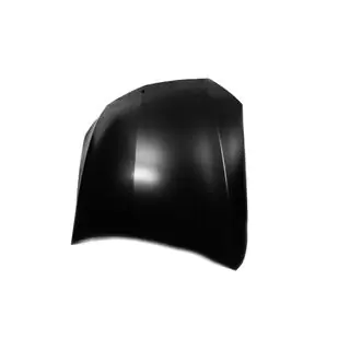 Hood (Aluminum) photo 3